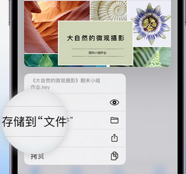 敦化apple维修中心分享iPhone文件应用中存储和找到下载文件