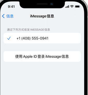 敦化apple维修iPhone上无法正常发送iMessage信息 