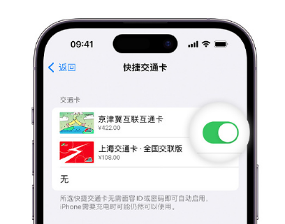 敦化apple维修点分享iPhone上更换Apple Pay快捷交通卡手绘卡面 