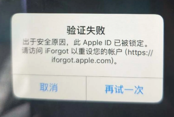 敦化iPhone维修分享iPhone上正常登录或使用AppleID怎么办 