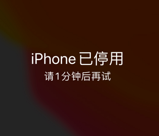 敦化苹果手机维修分享:iPhone 显示“不可用”或“已停用”怎么办？还能保留数据吗？ 