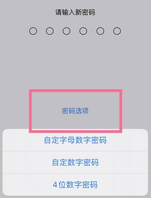 敦化苹果14维修分享iPhone 14plus设置密码的方法 