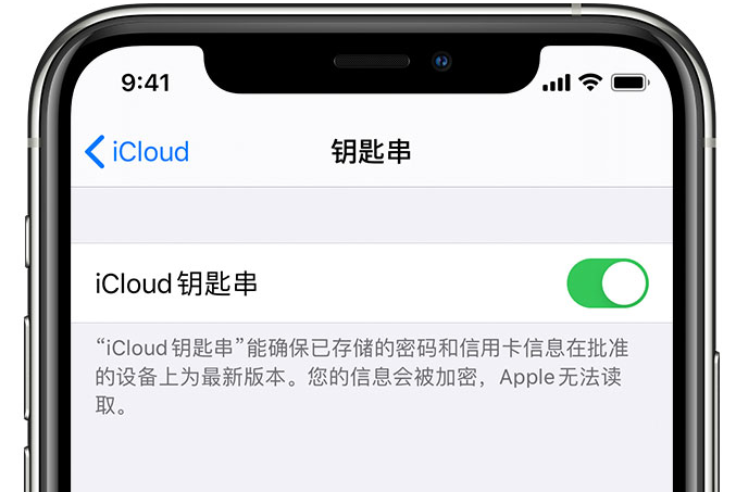 敦化苹果手机维修分享在 iPhone 上开启 iCloud 钥匙串之后会储存哪些信息 