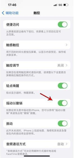 敦化苹果手机维修分享iPhone手机如何设置摇一摇删除文字 